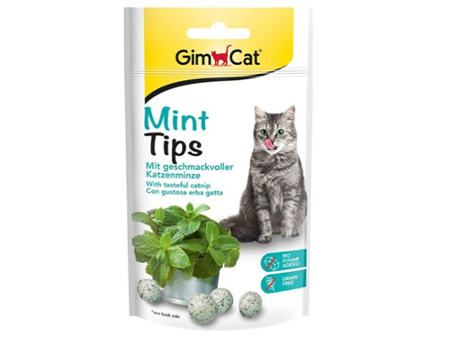 MINT TIPS